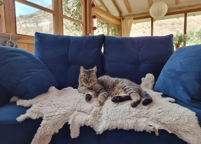 Mama Nusta
